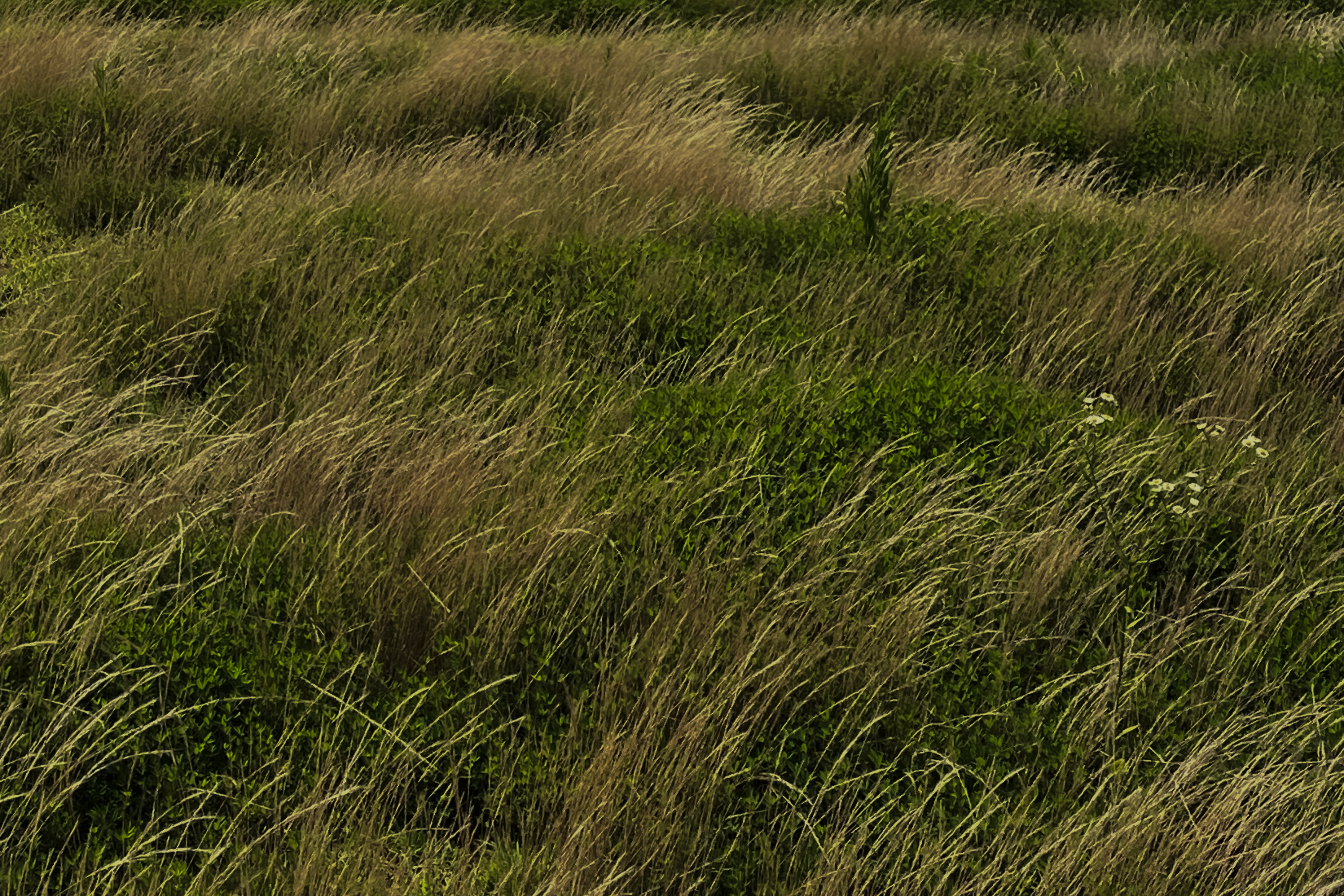 NOMADMA hero visual leading to Shop